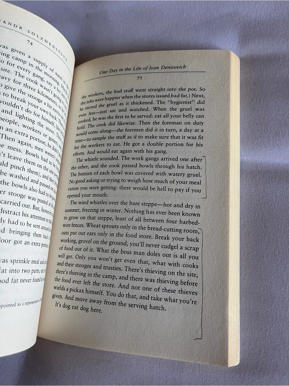 FSG Classics One Day in the Life of Ivan Denisovich Paperback Book Willetts